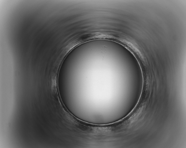 X0000095891281200801181218