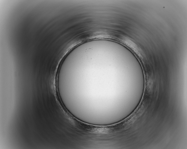 X0000095891282200801181218
