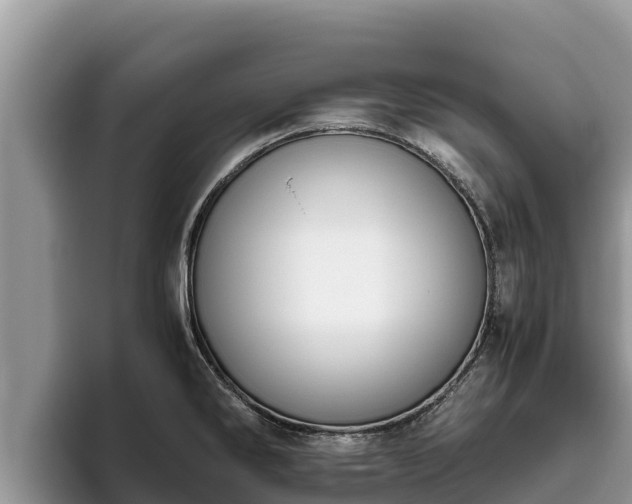 X0000095891286200801181218