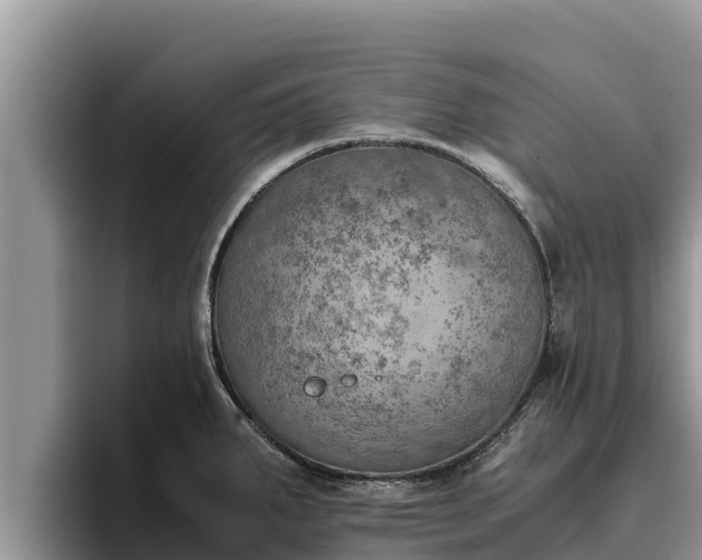 X0000095891287200801181218