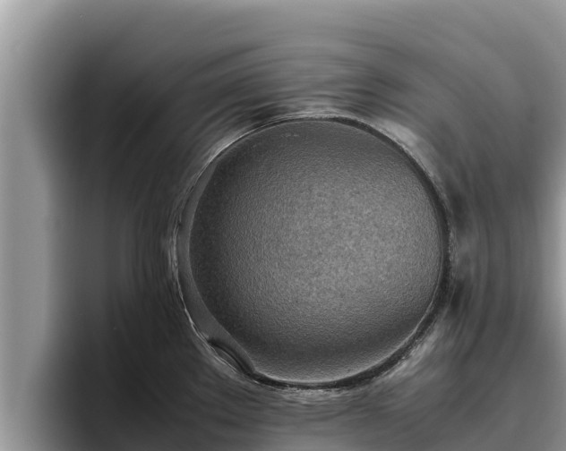 X0000095891289200801181218