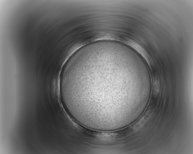 X0000095891290200801181218