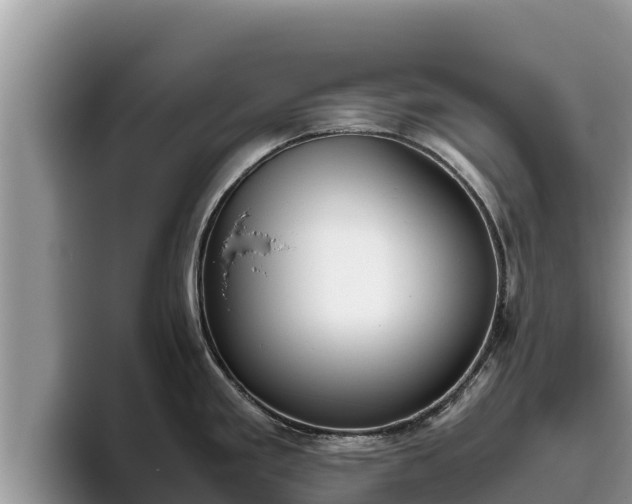 X0000095891293200801181218