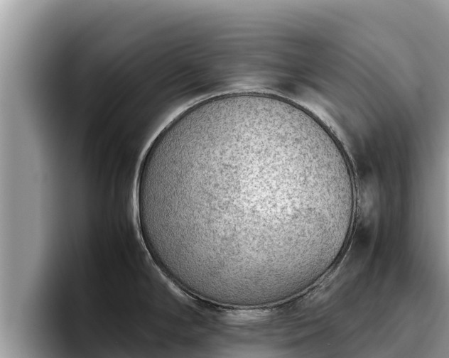 X0000095891294200801181218