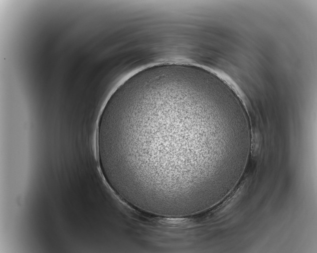 X0000095891295200801181218