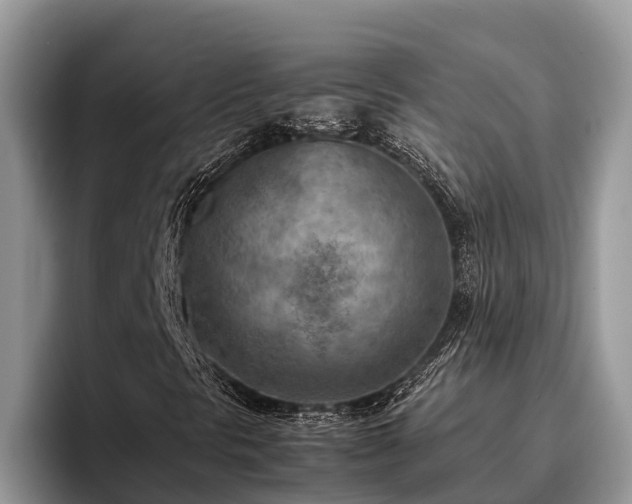 X0000095891297200801181217