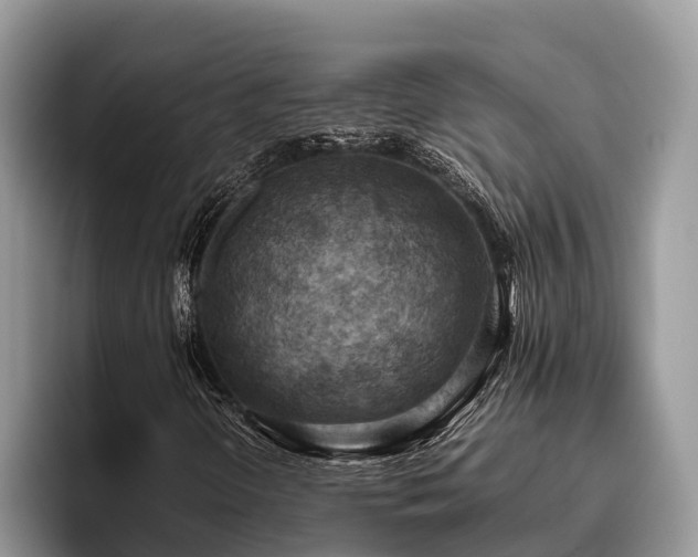 X0000095891298200801181217