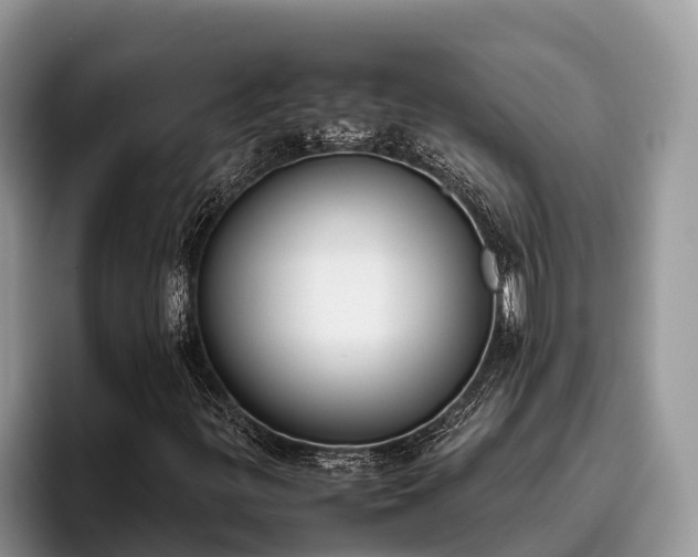 X0000095891299200801181217
