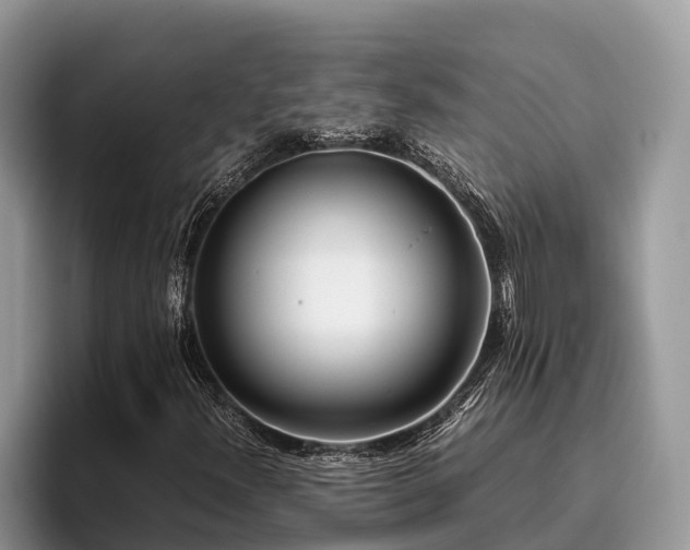 X0000095891300200801181217