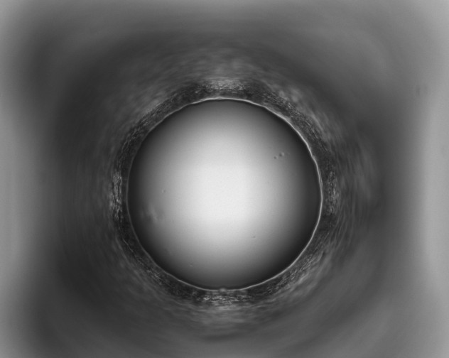 X0000095891301200801181217