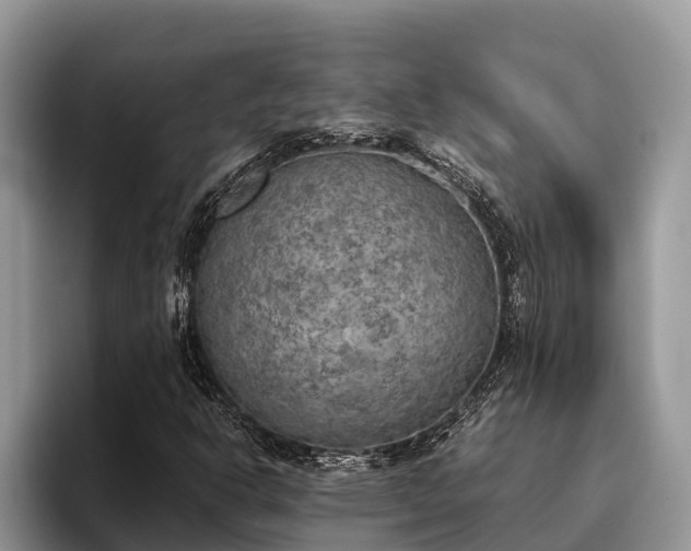 X0000095891302200801181217