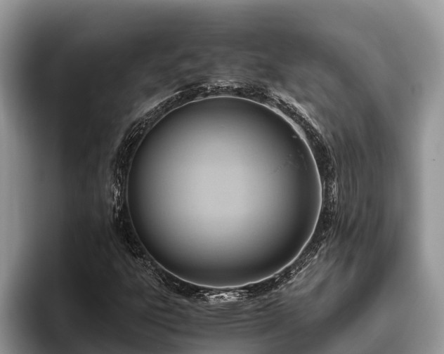 X0000095891303200801181217