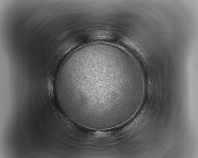 X0000095891305200801181217