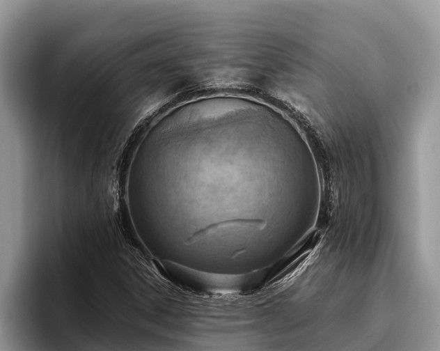 X0000095891306200801181217