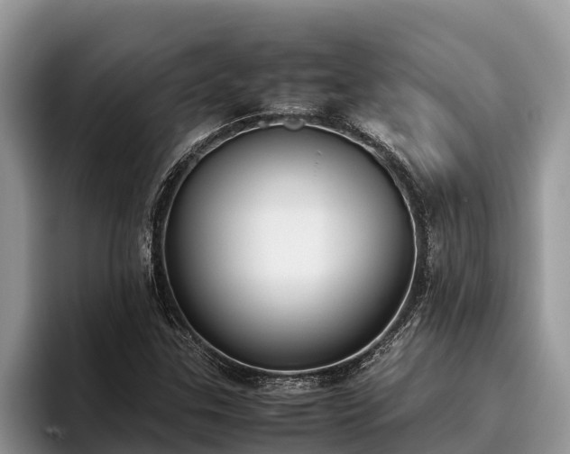 X0000095891307200801181217