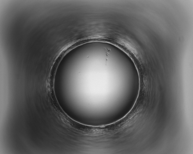 X0000095891308200801181217