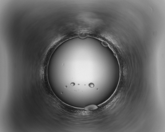 X0000095891309200801181217