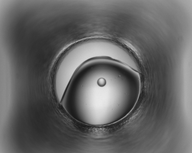 X0000095891310200801181217