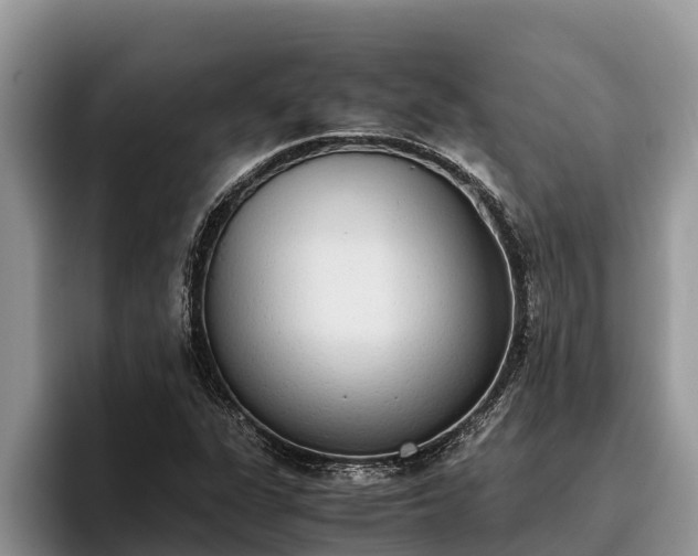 X0000095891311200801181217