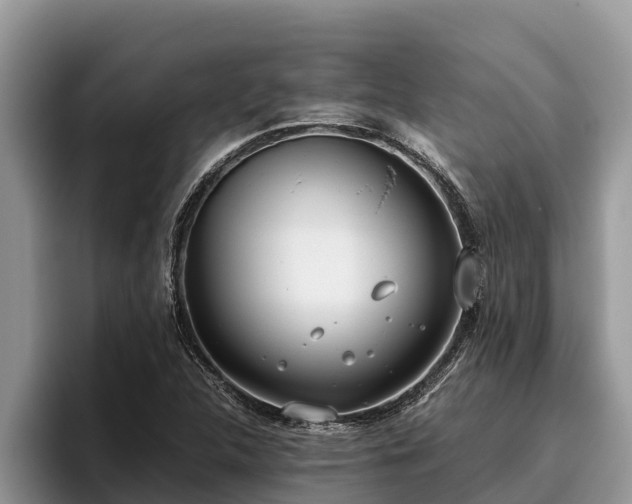 X0000095891312200801181218