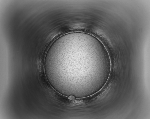 X0000095891313200801181218