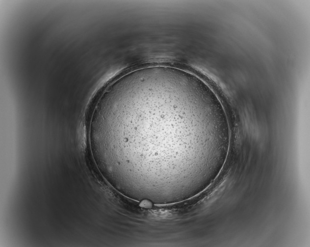 X0000095891317200801181218