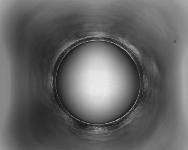 X0000095891318200801181218