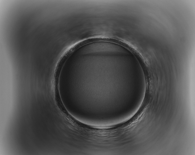 X0000095891319200801181218