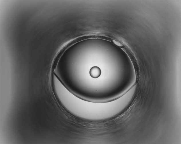 X0000095891320200801181218