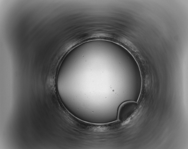 X0000095891321200801181218