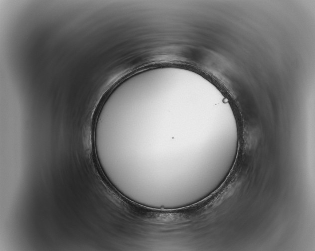 X0000095891322200801181218