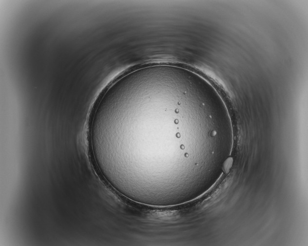 X0000095891325200801181218