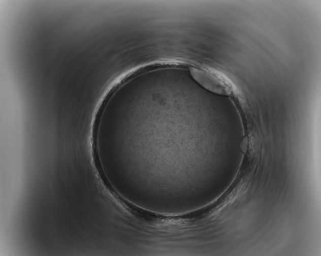 X0000095891327200801181218
