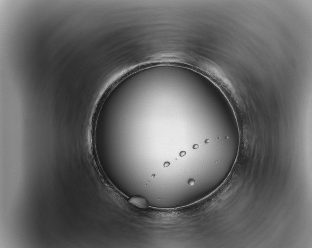 X0000095891328200801181218