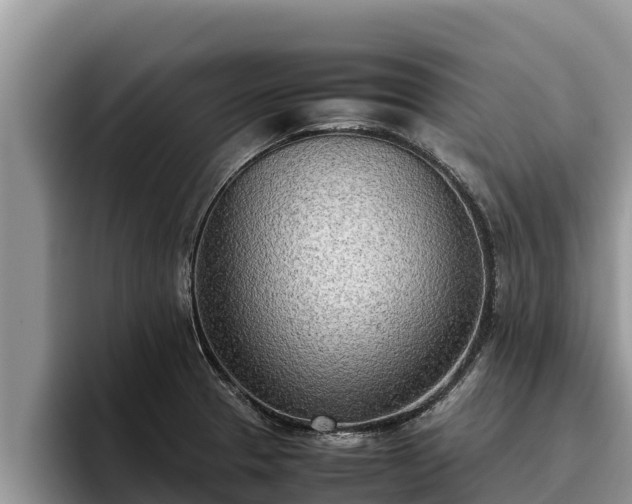 X0000095891329200801181218
