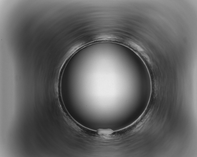 X0000095891330200801181218