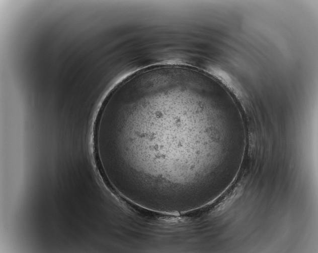 X0000095891331200801181218
