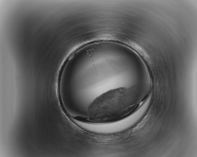 X0000095891334200801181218