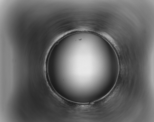 X0000095891335200801181218