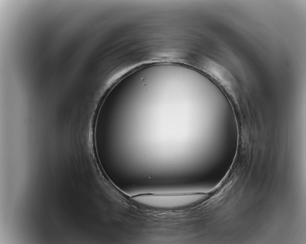 X0000095891336200801181218