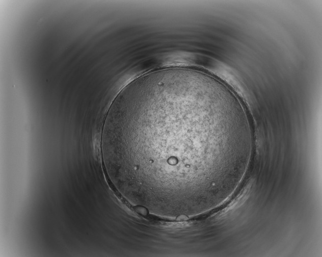 X0000095891337200801181218
