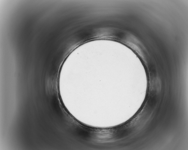 X0000095891338200801181218