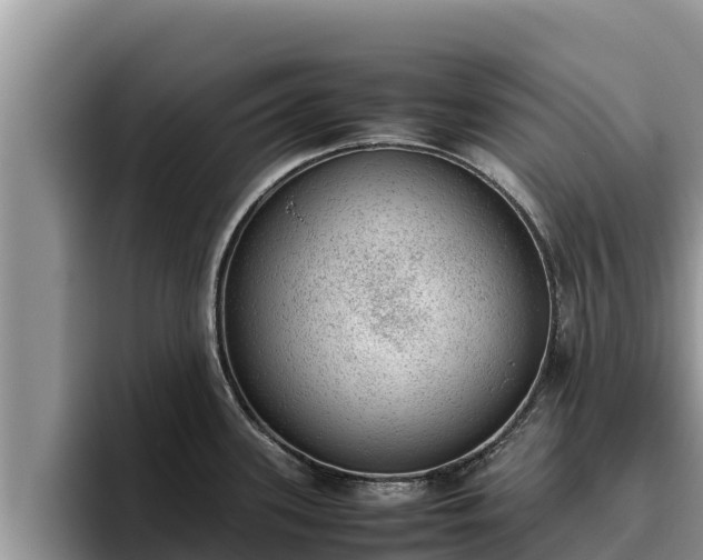 X0000095891339200801181218