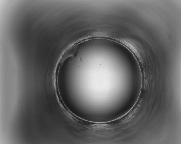 X0000095891342200801181218