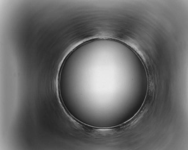 X0000095891343200801181218