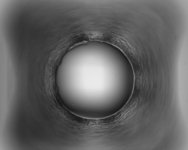 X0000095891345200801181217