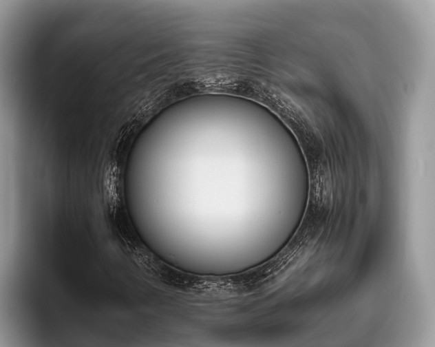 X0000095891346200801181217