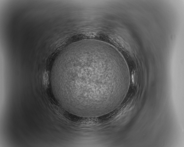 X0000095891347200801181217
