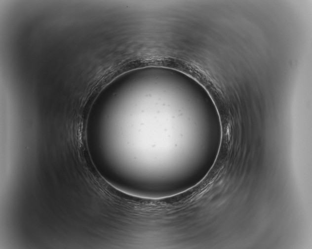 X0000095891348200801181217