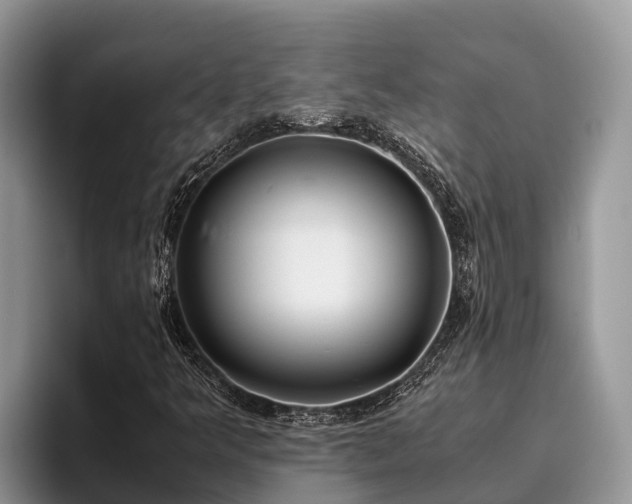 X0000095891349200801181217
